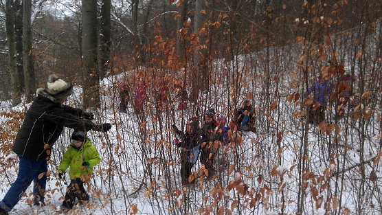 Unterwegs im Winterwald (Foto: privat)
