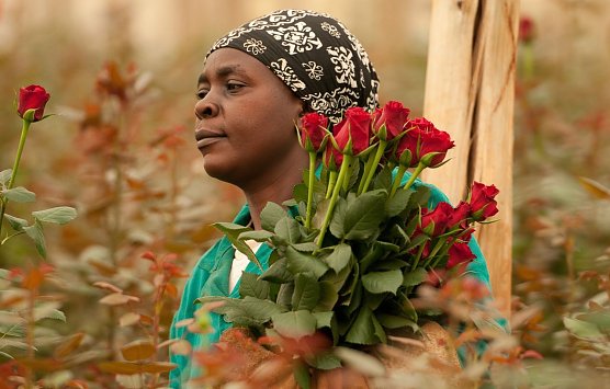 Faire Blumen (Foto: J. Piper)