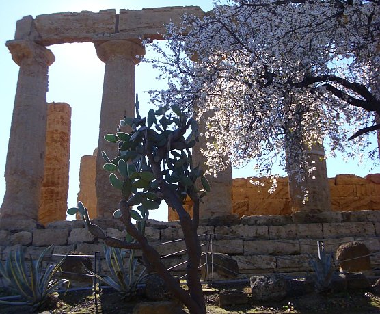 Sizilianisches Tagebuch (Foto: K. Greiner)