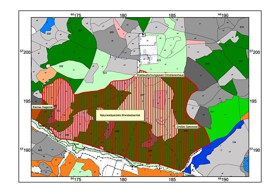 Karte (Foto: Forstamt, Autor)
