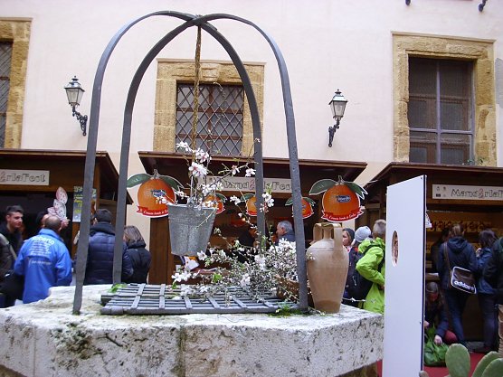 Mandelblütenfest (Foto: privat) Mandelblütenfest (Foto: privat)