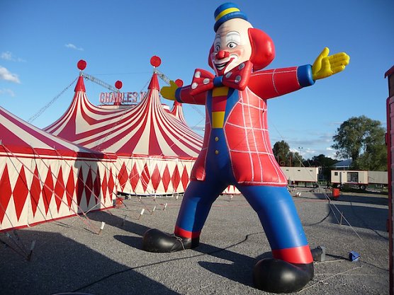 zirkus (Foto: zirkus)