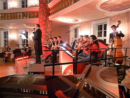 Ballgefl&uuml;ster (Foto: Karl-Heinz Herrmann)