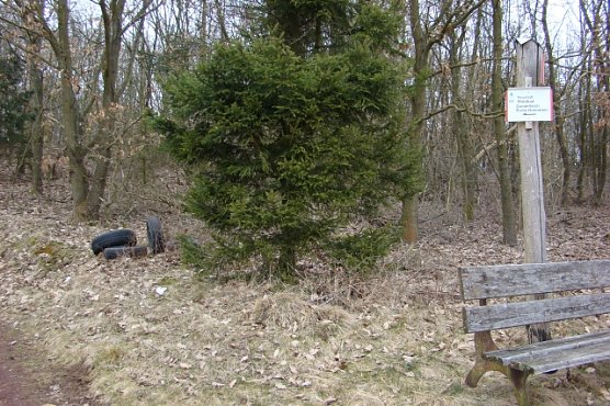 Abgelagert (Foto: S. Witzel)