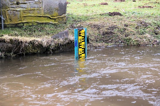 Schon im Meldebeginn (Foto: Peter Blei)