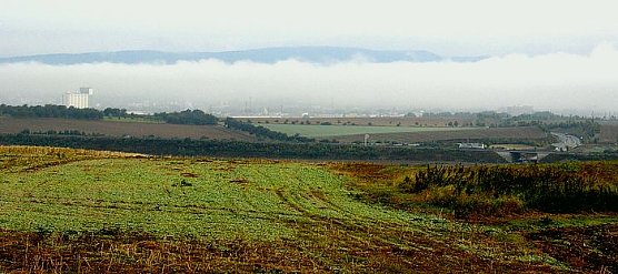 Leser-Foto (Foto: Thomas Soszynski) Leser-Foto (Foto: Thomas Soszynski)