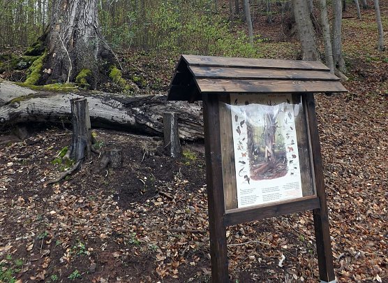 Infotafel gestaltet (Foto: I. Schoolmann)