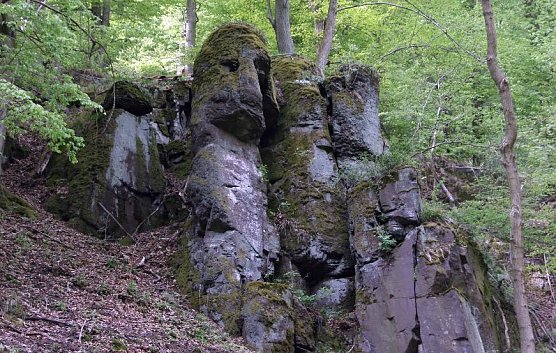 Das Steinm&uuml;hlental (Foto: privat)