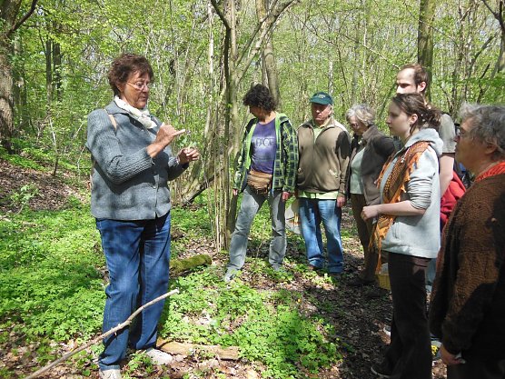 Wildkr&auml;uter erkl&auml;rt (Foto: L. Schubert)