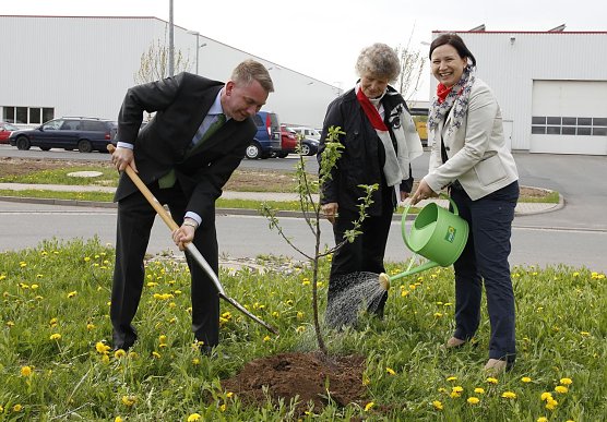 W&ouml;nnmann, Hartmann, Siegesmund (Foto: privat)