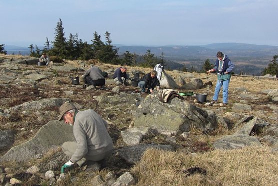 Ehrenamtliche Arbeit (Foto: Nationalpark Harz)