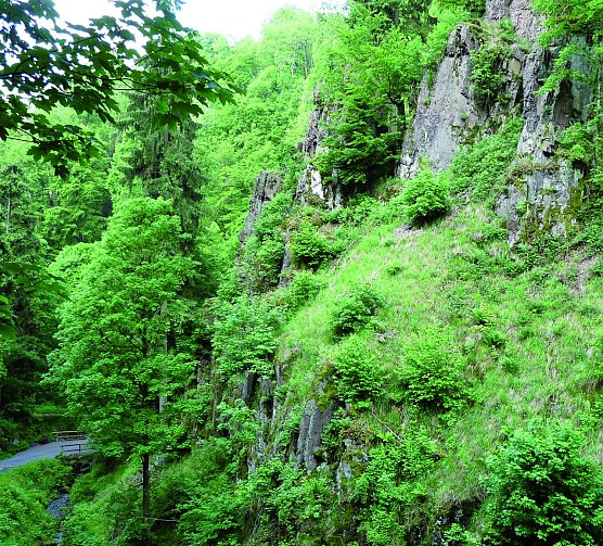 Steinm&uuml;hlental (Foto: privat)