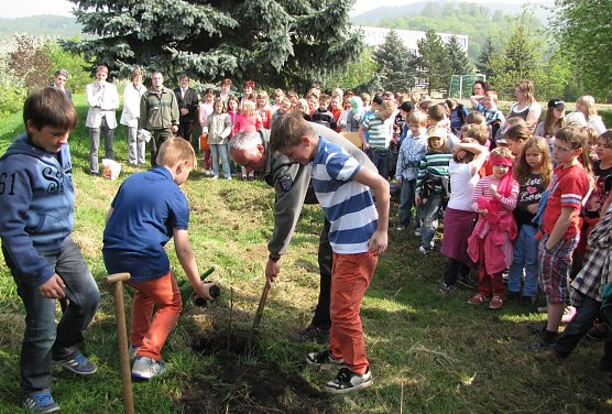 Baum des Jahres 2013 gepflanzt (Foto: privat)