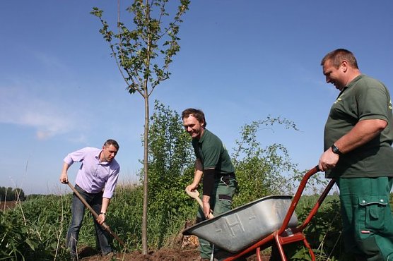 stadt (Foto: stadt) stadt (Foto: stadt)