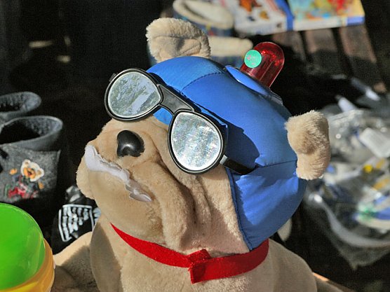 Unverkäuflich? (Foto: nnz) Unverkäuflich? (Foto: nnz)