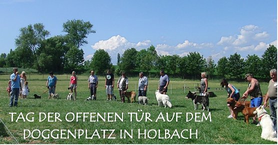 Alles tolle Hunde (Foto: privat) Alles tolle Hunde (Foto: privat)