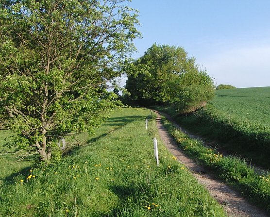 Kurz hinter Appenrode (Foto: B. Schwarzberg)