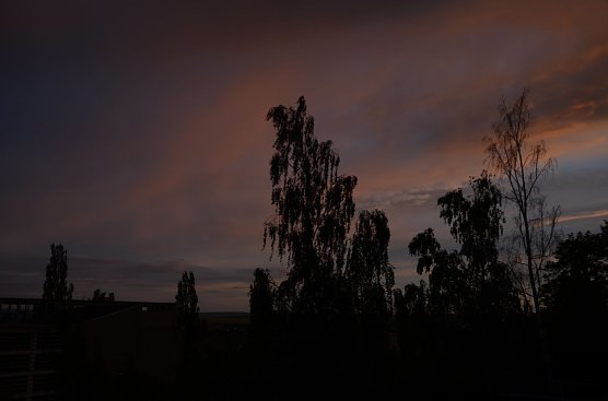 Foto &uuml;ber der Frauenbergschule (Foto: nnz-City Scout Sven G&auml;mkow)