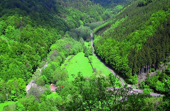 Klippenwanderung (Foto: Naturpark Südharz) Klippenwanderung (Foto: Naturpark Südharz)