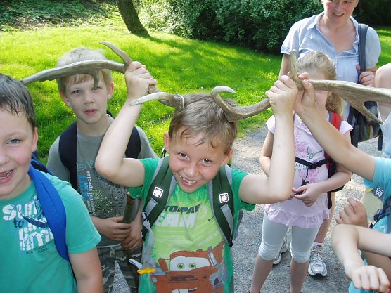 Einmal ein Hirsch sein (Foto: Forstamt Bleicherode-Südharz) Einmal ein Hirsch sein (Foto: Forstamt Bleicherode-Südharz)