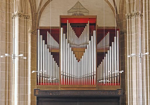 Domorgel (Foto: privat)