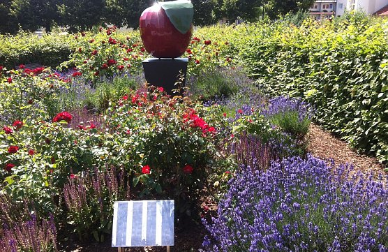 Zerst&ouml;rt (Foto: privat)