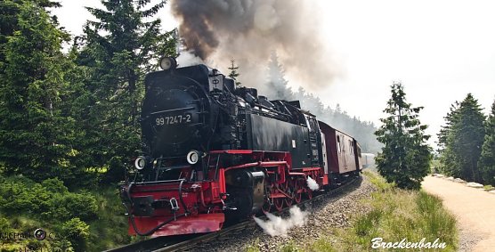 Der Berg ruft (Foto: Michael Caspari (blitzlicht-nordhausen.de)) Der Berg ruft (Foto: Michael Caspari (blitzlicht-nordhausen.de))