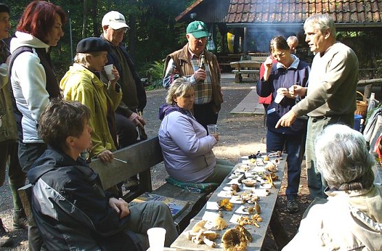 In den Pilzen (Foto: Urban) In den Pilzen (Foto: Urban)
