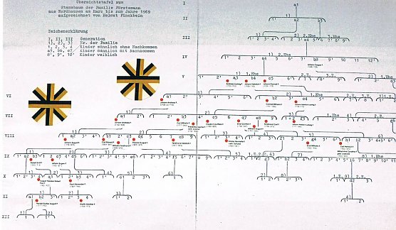 Ahnentafel Förstemann in der Ausstellung (Foto: Archiv Kneffel) Ahnentafel Förstemann in der Ausstellung (Foto: Archiv Kneffel)