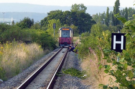 Unfall auf HSB-Gleisen (Foto: nnz) Unfall auf HSB-Gleisen (Foto: nnz)