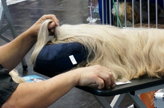 Bin ich schön? (Foto: S. Witzel) Bin ich schön? (Foto: S. Witzel)