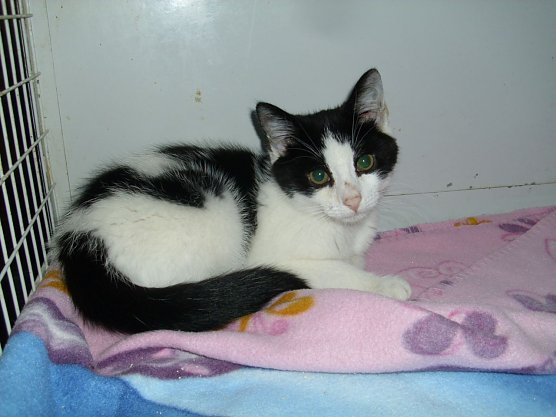 Mirella (Foto: C. Knust) Mirella (Foto: C. Knust)