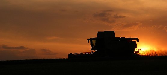 Sonnenuntergang in der Magdeburger Börde (Foto: Susanne Stummvoll, DWD) Sonnenuntergang in der Magdeburger Börde (Foto: Susanne Stummvoll, DWD)