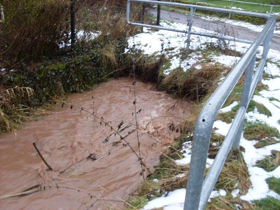 &Uuml;berschwemmt (Foto: nnz)