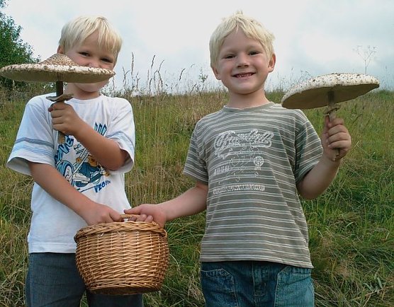 Gefunden (Foto: Giesler) Gefunden (Foto: Giesler)