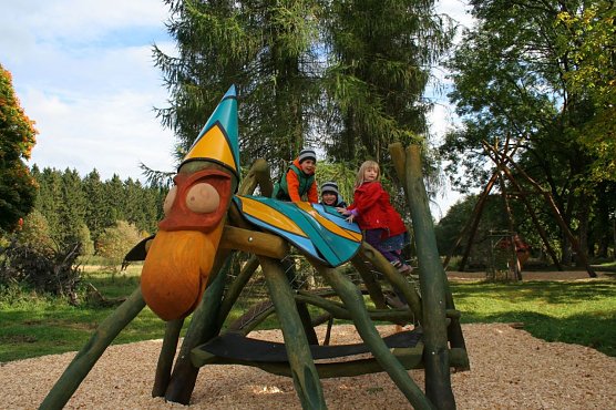 Heupferd (Foto: Ingrid N&ouml;renberg.)