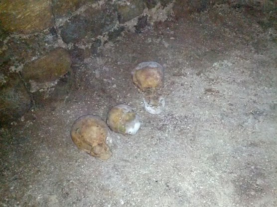 Totenschädel (Foto: privat) Totenschädel (Foto: privat)