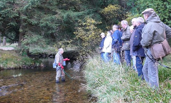 Erl&auml;uterungen an der Kalten Bode (Foto: nnz)