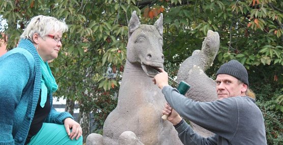 Kiefer-OP (Foto: P. Grabe|Stadtverwaltung Nordhausen) Kiefer-OP (Foto: P. Grabe|Stadtverwaltung Nordhausen)