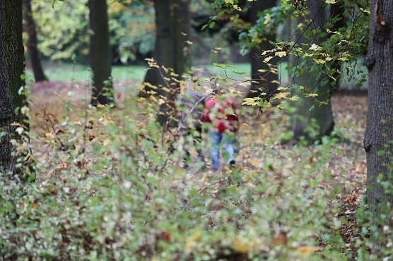 Im Herbst wandern (Foto: nnz) Im Herbst wandern (Foto: nnz)