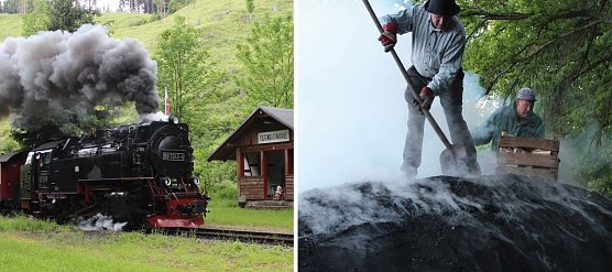 Motive (Foto: Naturpark S&uuml;dharz)