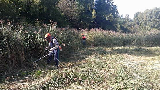 Projekte für den Naturschutz (Foto: Forstamt) Projekte für den Naturschutz (Foto: Forstamt)