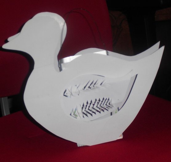 Typ Martinsgans (Foto: KILA)