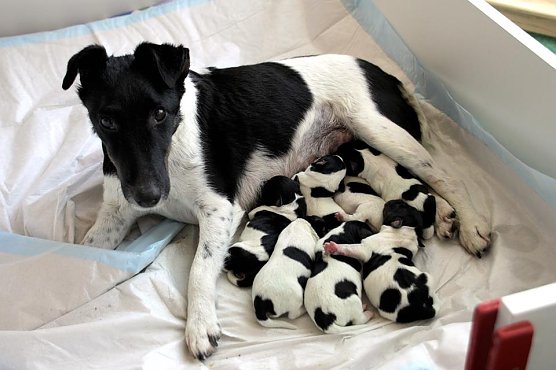 Alle wohlauf (Foto: privat)