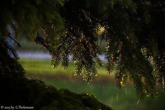 Am Mittwochmorgen (Foto: G. Thelemann)