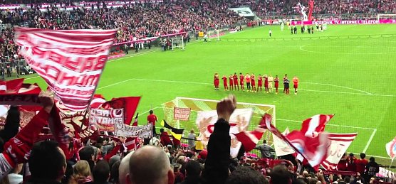 Fans im Stadion (Foto: privat)