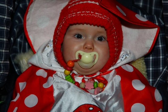 Nachwuchs in Sollstedt (Foto: Bernd Peter) Nachwuchs in Sollstedt (Foto: Bernd Peter)