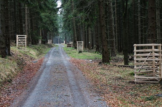 300 Eichen werden hier bis 2015 gepflanzt (Foto: nnz) 300 Eichen werden hier bis 2015 gepflanzt (Foto: nnz)