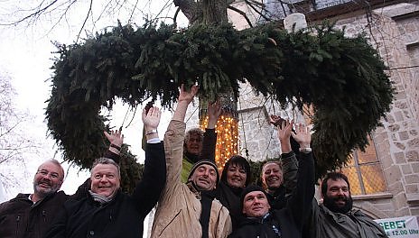 Rund, gro&szlig; und gr&uuml;n (Foto: P. Grabe|Stadtverwaltung Nordhausen)