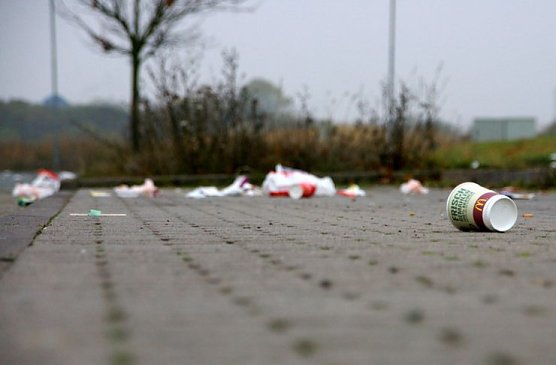 m&uuml;ll (Foto: m&uuml;ll)